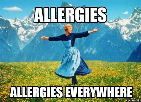 seasonal allergies and how to better manage them with data insights