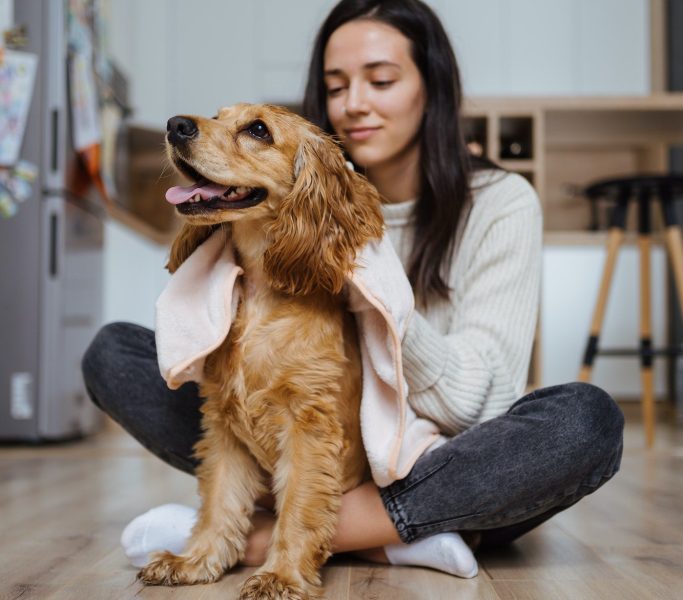 Pleasant photo about taking care and playing with a dog